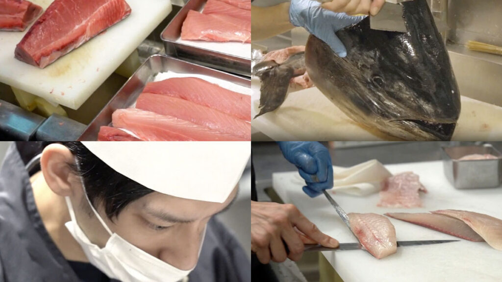 養殖魚を捌き続ける職人の朝。近大マグロ、クエタマ、ブリヒラ…近畿大学水産研究所の仕込みに密着！