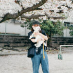 平野明